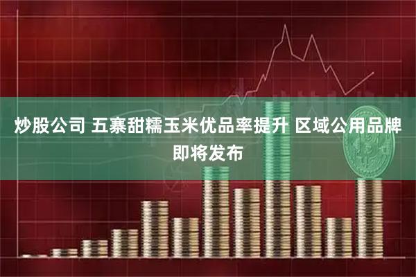 炒股公司 五寨甜糯玉米优品率提升 区域公用品牌即将发布