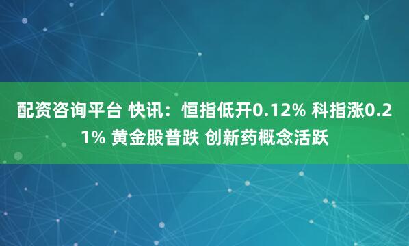 配资咨询平台 快讯：恒指低开0.12% 科指涨0.21% 黄金股普跌 创新药概念活跃